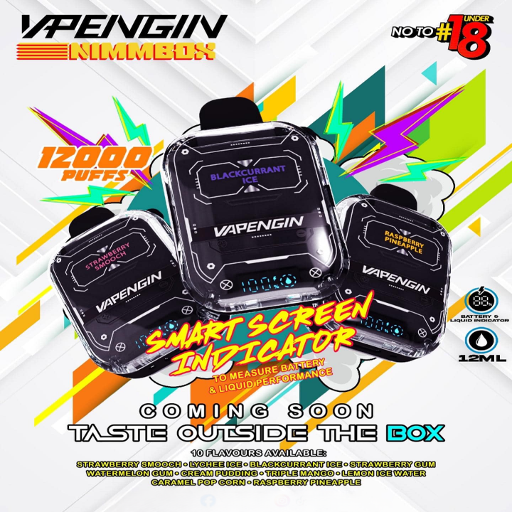 VAPENGIN NIMMBOX 12000 RECHARGEABLE DISPOSABLE